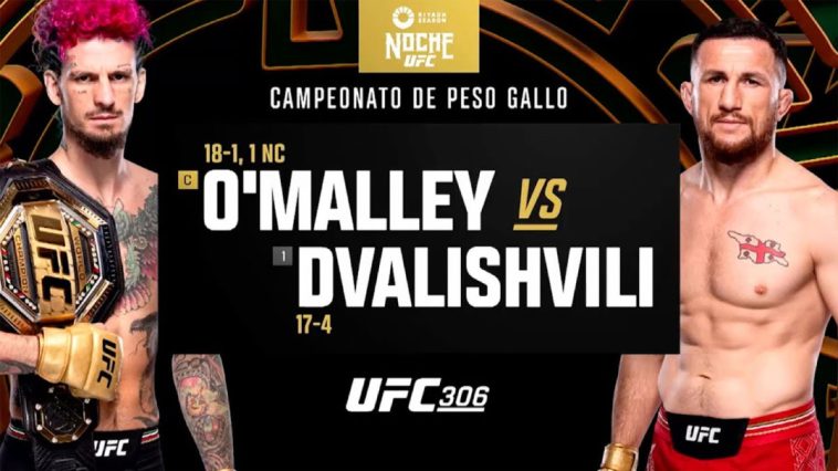 Lo más destacado de UFC 306: Sean O'Malley vs. Merab Dvalishvili