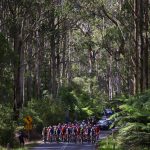 El Surf Coast Classic femenino confirmado como complemento a la carrera de ruta Cadel Evans Great Ocean para 2025