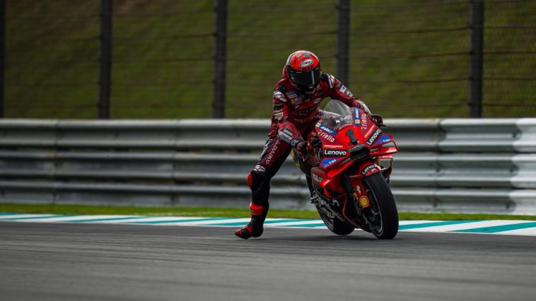 Pecco Bagnaia, Ducati, MotoGP