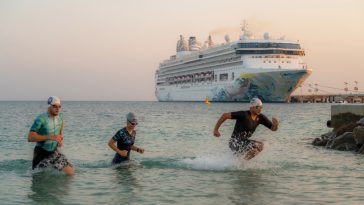 Desafío Sir Bani Yas Swim y Cruise Ship