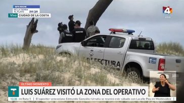 En Uruguay, un hombre de 49 años se subió a un árbol de seis metros de altura y amenazó con quitarse la vida.